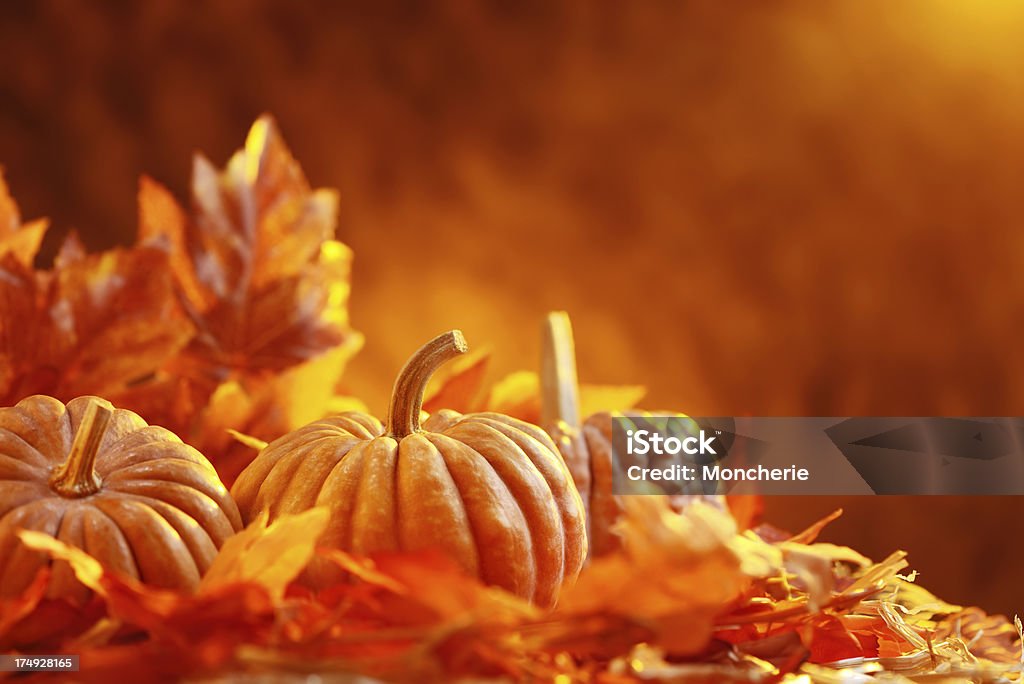 Décor de l'automne - Photo de Citrouille libre de droits