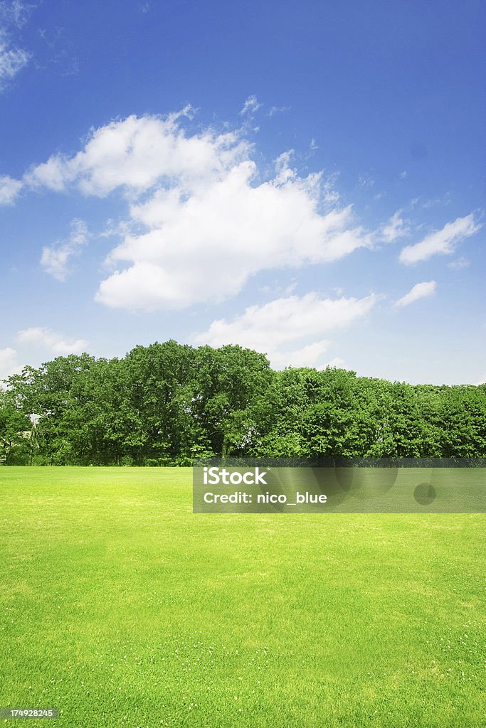 Sommer field - Lizenzfrei Agrarbetrieb Stock-Foto