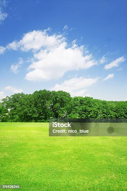 Sommer Field Stockfoto und mehr Bilder von Agrarbetrieb - Agrarbetrieb, Baum, Blau