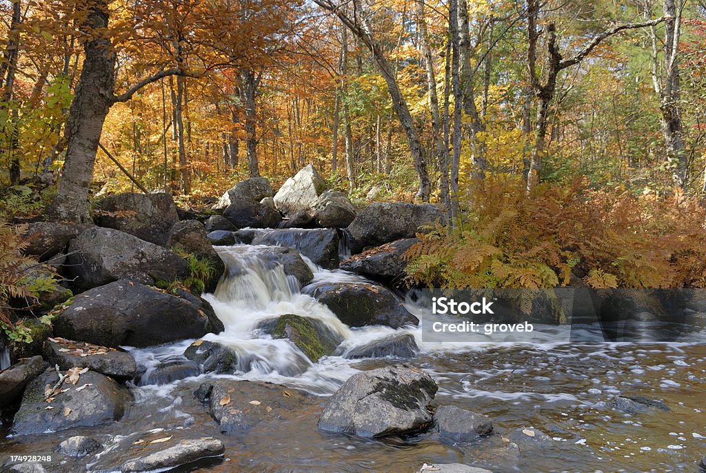 滝の美しい秋の雰囲気 - アクションショットのロイヤリティフリーストックフォト