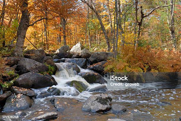 滝の美しい秋の雰囲気 - アクションショットのストックフォトや画像を多数ご用意 - アクションショット, コンセプト, スウィフト川