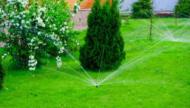 istock Sammer in the garden. Automatic watering watering green lawn 1749286527