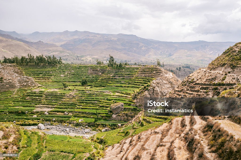 Colca Canyon in Peru - Lizenzfrei Canyon Stock-Foto