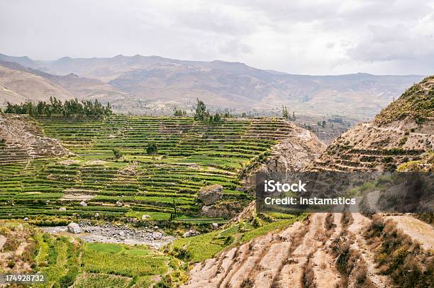 Colca Canyon In Peru Stockfoto und mehr Bilder von Canyon - Canyon, Anden, Braun