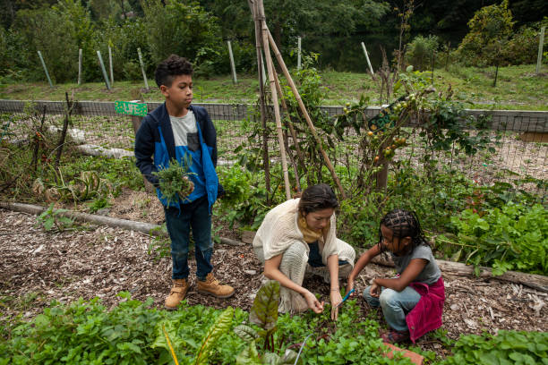 istock Single Mom and two kids in community garden 1749291497