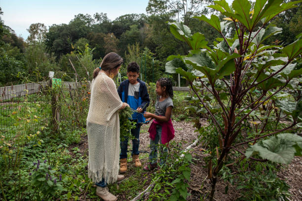 istock Single Mom and two kids in community garden 1749291744