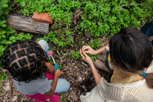 istock Single Mom and two kids in community garden 1749292011