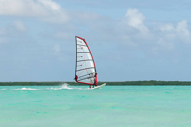 istock surfing at lac bay, sorobon, bonaire 174929463