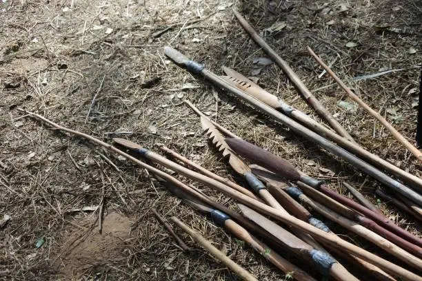 Photo of Aboriginal Australians weapons on the ground in Cape York Queensland Australia