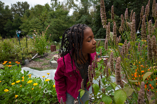 Young girl smells flowers in community garden
