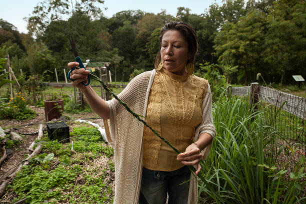 une mère célibataire et ses deux enfants passent du temps ensemble dans un jardin communautaire - sweet grass photos et images de collection