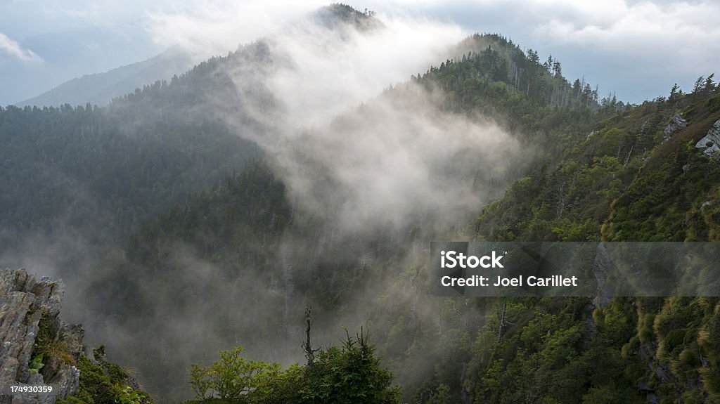 Nuages et les montagnes dans le parc National des Great Smoky Mountains - Photo de Brouillard libre de droits