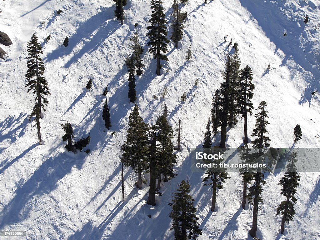 Les pistes de Ski du dessus - Photo de Lac Tahoe libre de droits