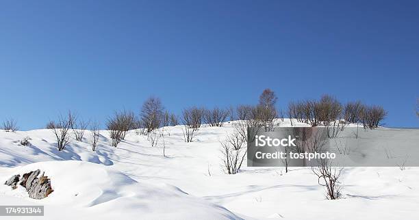 Escenario De Invierno Foto de stock y más banco de imágenes de Actividad después de esquiar - Actividad después de esquiar, Aire libre, Azul