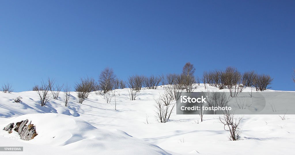 Cenário de inverno - Foto de stock de Atividades depois de esquiar royalty-free