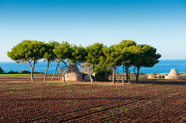 Apulia, Southern Italy stock photo