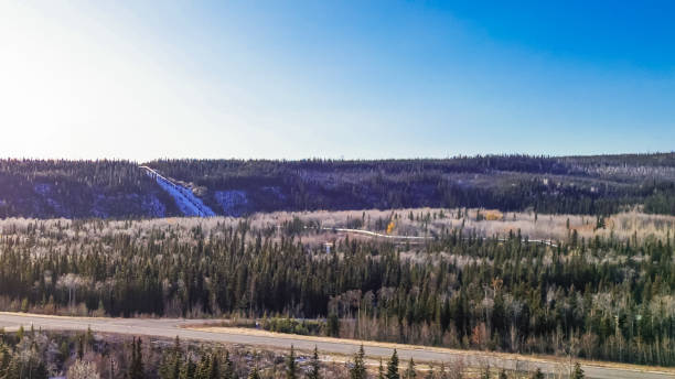 istock Drone flight over the wilderness in Interior Alaska - Trans Alaskan Pipeline 1749316471