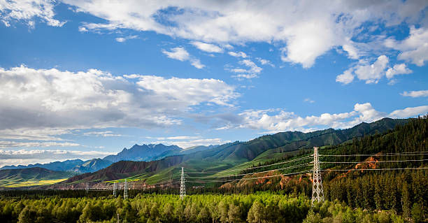 tour de haute tension - munt tower photos et images de collection