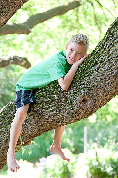 istock Young blonde male child lying on hands on a tree branch. 174931952