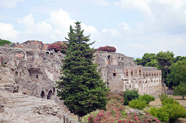 pompeya - ancient civilization italy pompeii distraught fotografías e imágenes de stock