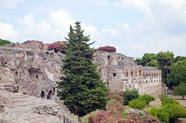 помпеи - ancient civilization italy pompeii distraught стоковые фото и изображения