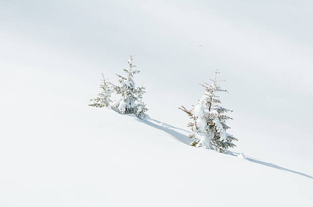 istock Winter Landscape with Snow and Trees 174932759
