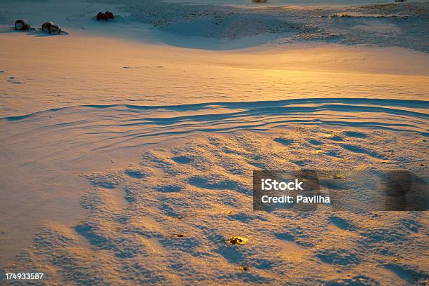 Golden Śniegu Dunes Pełna Rama Tło Słowenia - zdjęcia stockowe i więcej obrazów Abstrakcja - Abstrakcja, Bez ludzi, Biały