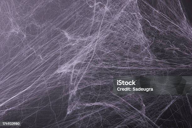 Dia Das Bruxas Spiderweb - Fotografias de stock e mais imagens de Teia de aranha - Teia de aranha, Dia das Bruxas, Plano de Fundo