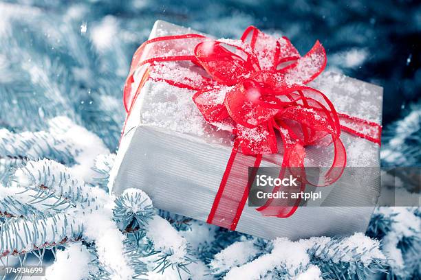 Regalo De Navidad Foto de stock y más banco de imágenes de Abeto - Abeto, Aire libre, Caja de regalo