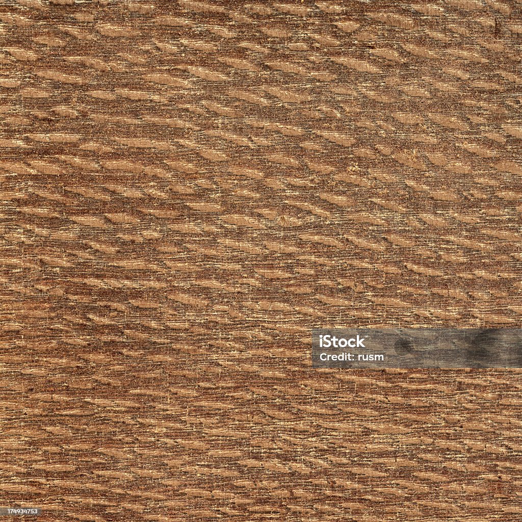 Sfondo Albero di leopardo - Foto stock royalty-free di Albero di legno duro