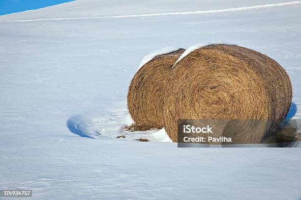 Сено Bales В Снегу Зимой Словения Европе — стоковые фотографии и другие картинки Без людей - Без людей, Белый, Виньетка