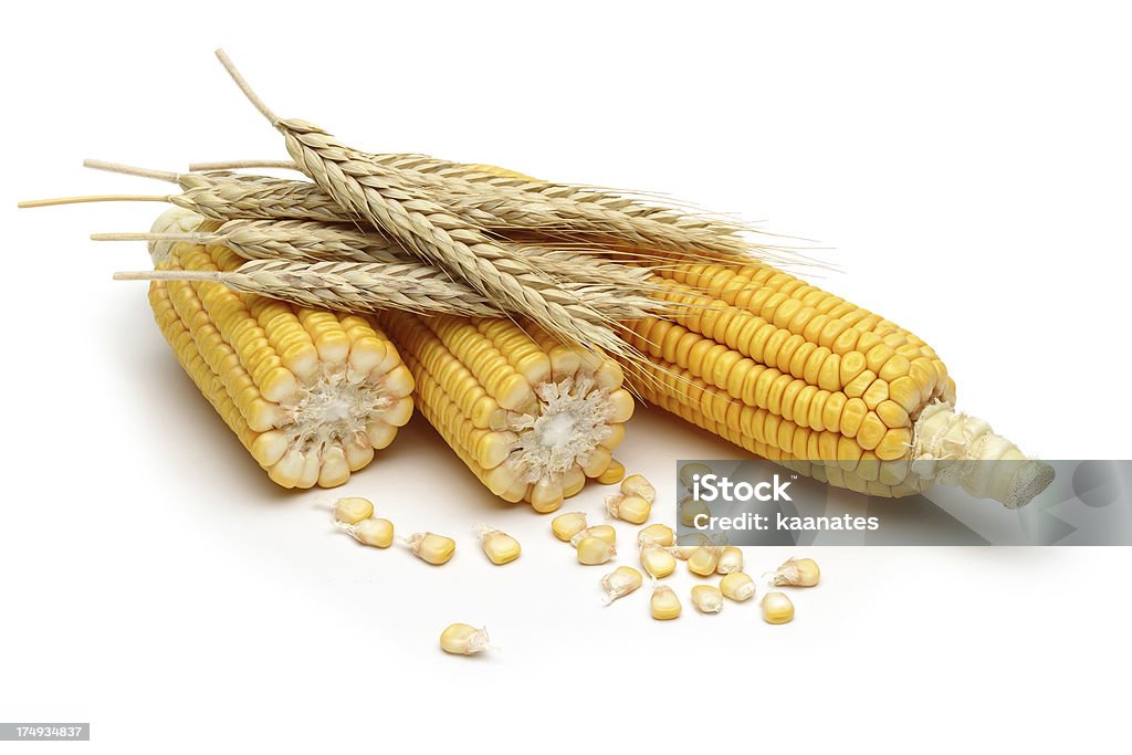 Kukurydza, pszenica - Zbiór zdjęć royalty-free (Bez ludzi)