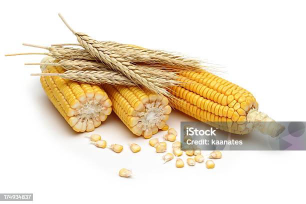 Kukurydza Pszenica - zdjęcia stockowe i więcej obrazów Bez ludzi - Bez ludzi, Białe tło, Biały