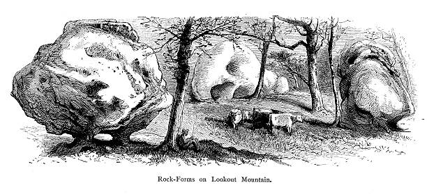 바위산 양식 룩아웃 마운틴, usa - lookout mountaint stock illustrations