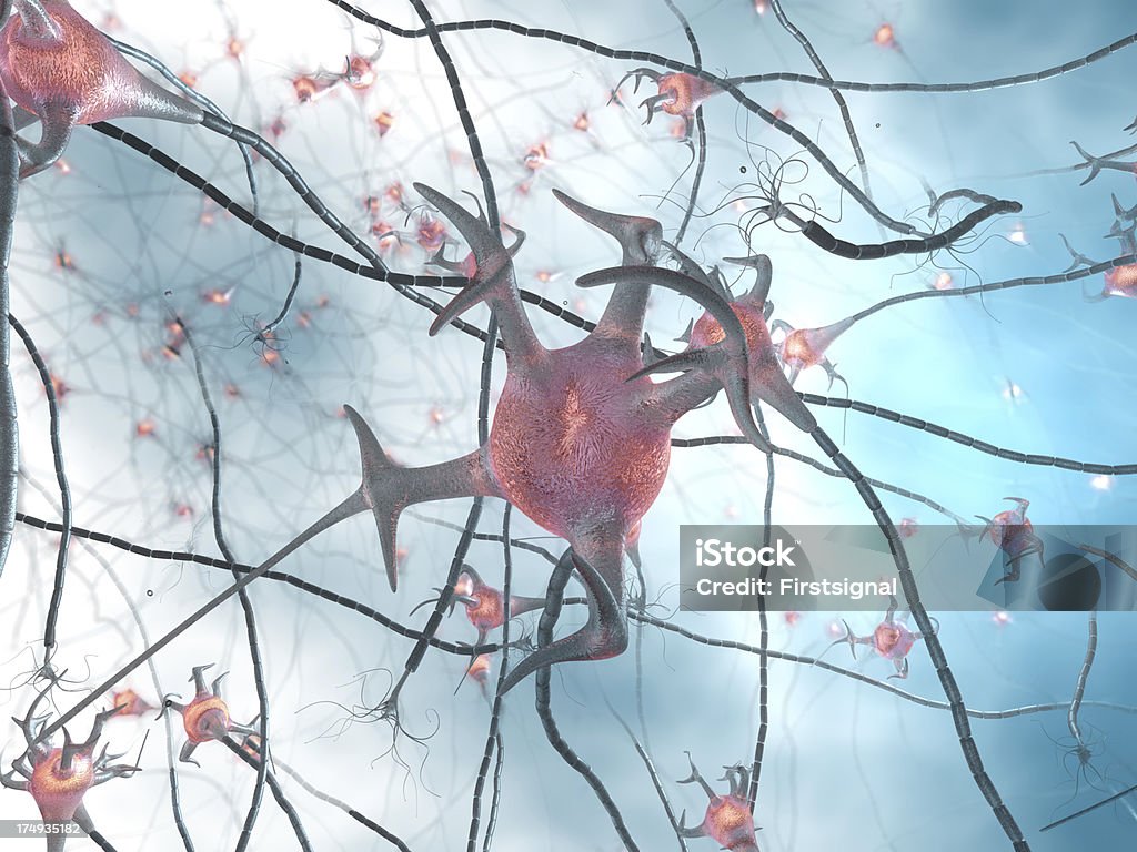 アクティブ Neuron セル、synapse ネットワーク - 3Dのロイヤリティフリーストックフォト