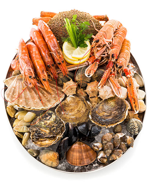 frutos do mar - prepared shellfish tray variation catch of fish - fotografias e filmes do acervo