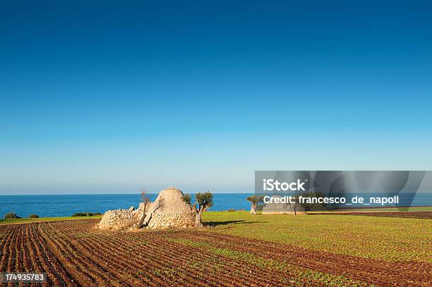 A Apúlia Sul De Itália - Fotografias de stock e mais imagens de Oliveira - Oliveira, Região de Puglia, Ao Ar Livre