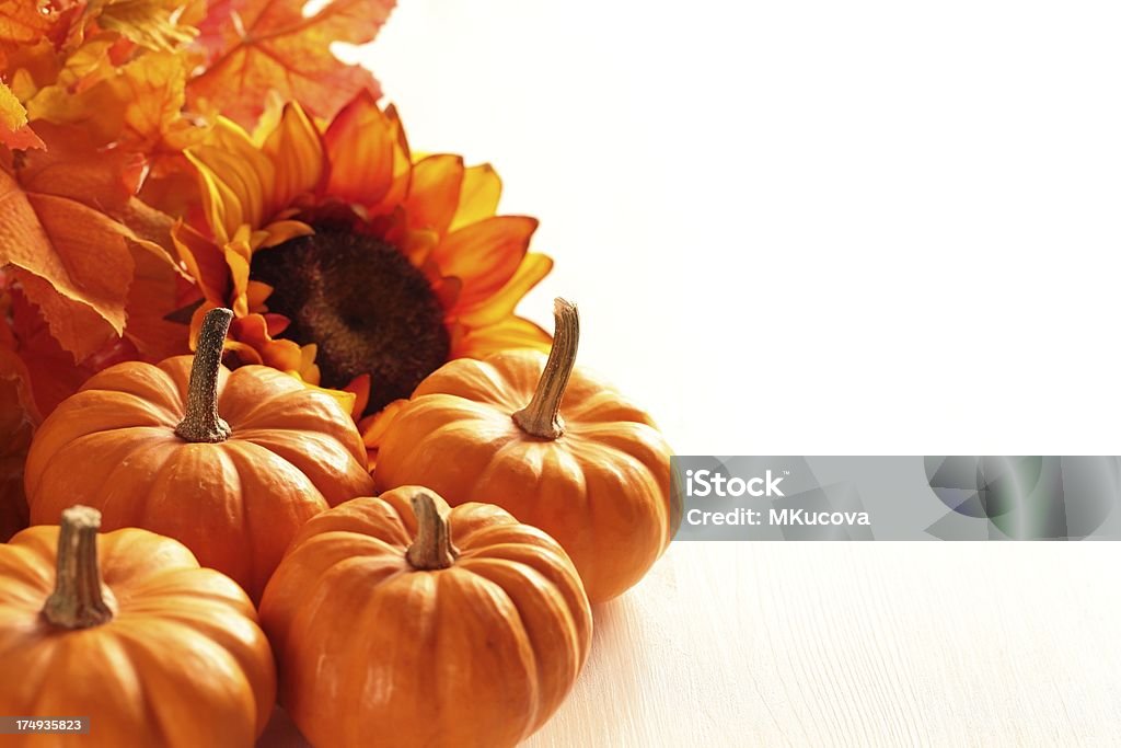 秋の背景 - オレンジ色のロイヤリティフリーストックフォト