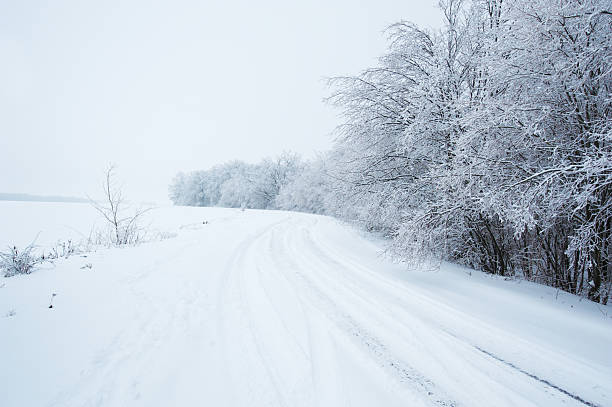 istock Winter road in the forest 174935896