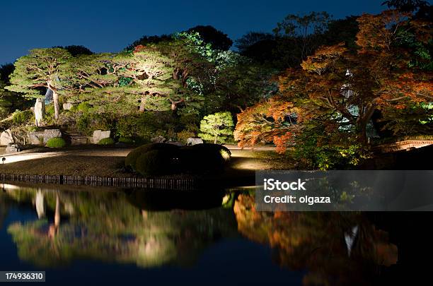 분재 추절 야간 밤-하루 시간대에 대한 스톡 사진 및 기타 이미지 - 밤-하루 시간대, 일본식 정원, 0명