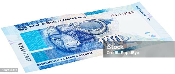 후진하다 새로운 남왕 중유럽식 백 랜드 지폐 버팔로 남아프리카공화국에 대한 스톡 사진 및 기타 이미지 - 남아프리카공화국, 남아프리카 공화국 통화, 0명