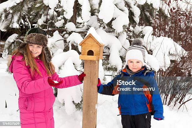 Nutrire Gli Uccelli - Fotografie stock e altre immagini di 2-3 anni - 2-3 anni, 6-7 anni, 8-9 anni