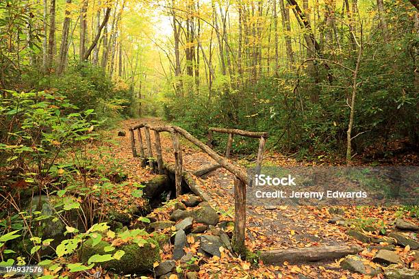 Great Smoky Mountains Tn - Fotografie stock e altre immagini di Sentiero appalachiano - Sentiero appalachiano, Grandi Montagne Fumose, Parco Nazionale Great Smoky Mountains