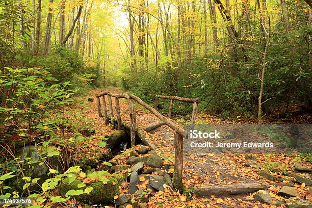 Great Smoky Mountains Tn 애팔래치아 등산로에 대한 스톡 사진 및 기타 이미지 - 애팔래치아 등산로, 그레이트 스모키 산맥, 그레이트 스모키 산맥 국립 공원