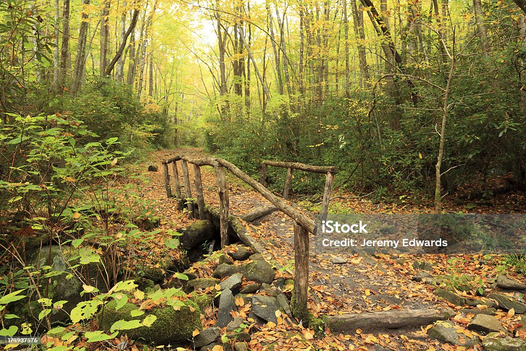 Montanhas Great Smoky, TN - Foto de stock de Trilha dos Apalaches royalty-free