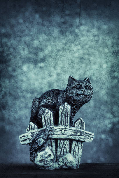 gato negro y cráneo - human bone textured textured effect animal bone fotografías e imágenes de stock