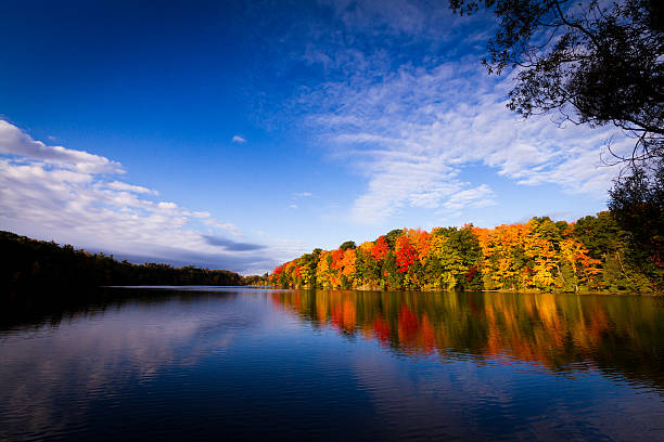 istock Fall colours of Ontario 174937729