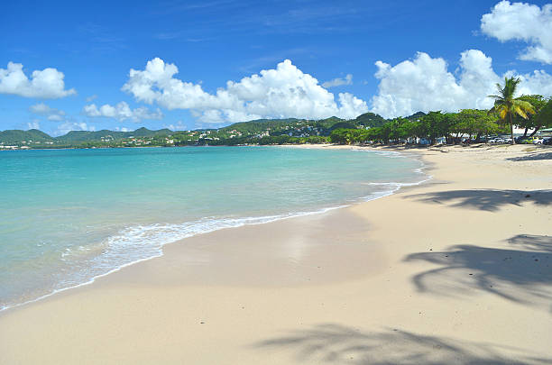 istock beautiful caribbean beach landscape 174938176