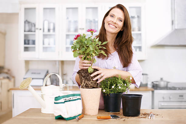 istock Potting some colourful flowers for spring 174938266
