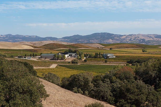 napa valley landschaft - california napa valley vineyard farmhouse stock-fotos und bilder